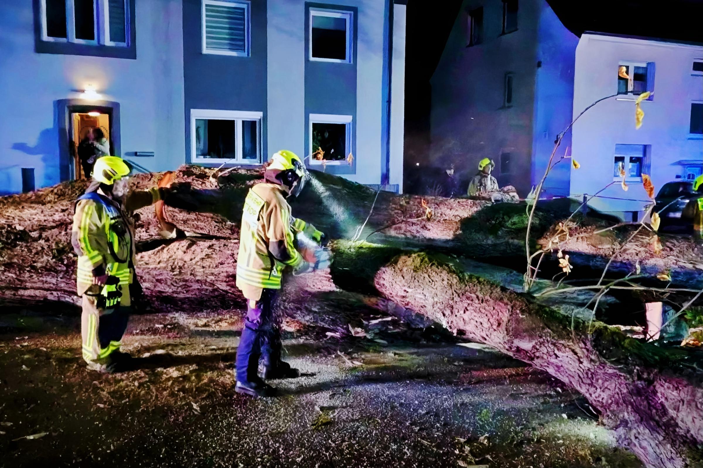 23 Einsätze nach Herbststurm: Bäume stürzen um – mehrere Straßen gesperrt